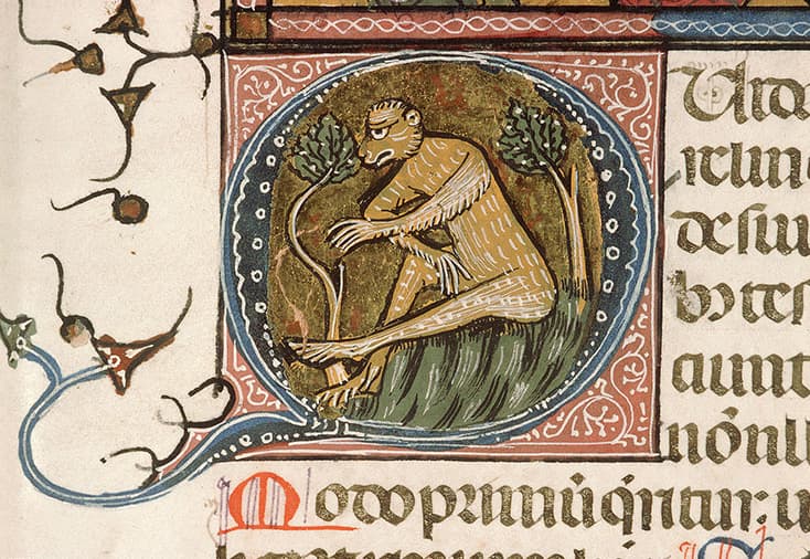 image de droite chevauchant celle de gauche